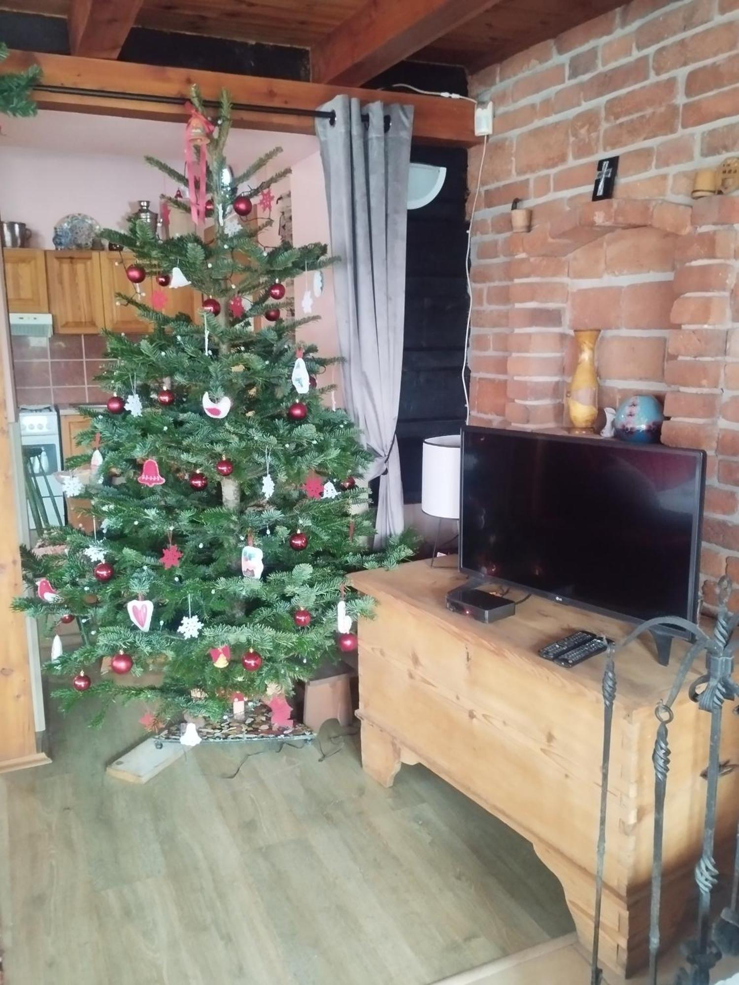Drevenica U Holtana Daire Oscadnica Dış mekan fotoğraf